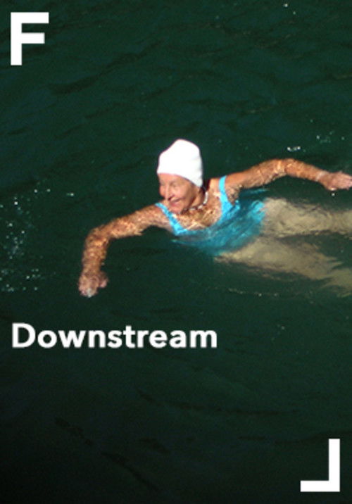Downstream (2008) poster