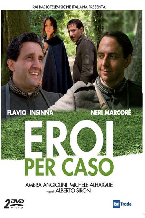 Eroi per caso (2011) poster