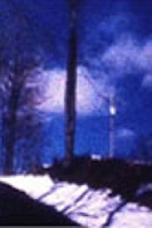 Warriors Mark (2007) poster