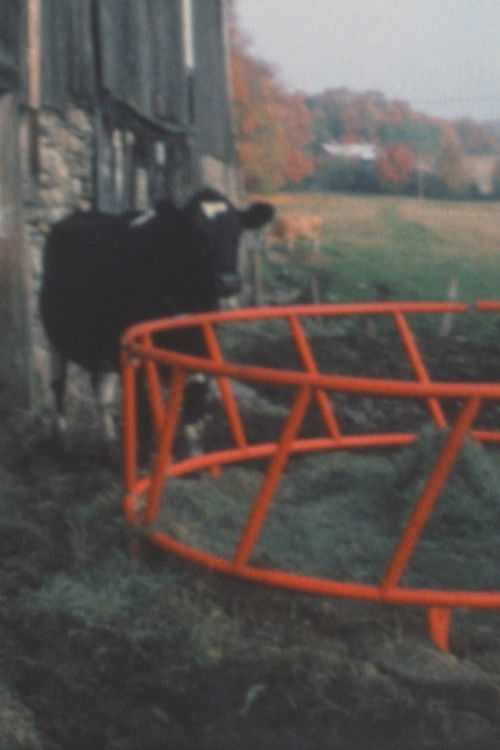 Super 8 Diary - 1991 (1991) poster