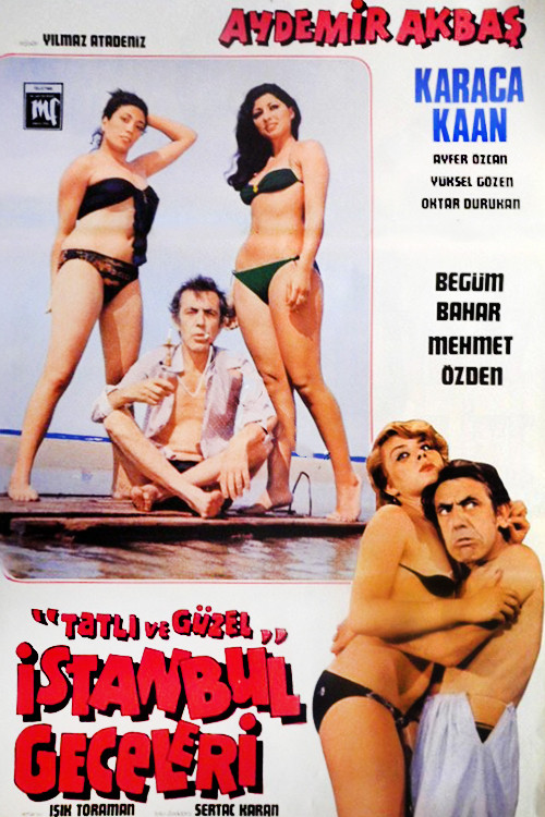 Tatlı ve Güzel İstanbul Geceleri (1979) poster