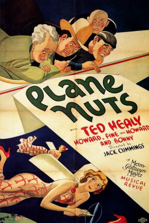 Plane Nuts (1933) poster