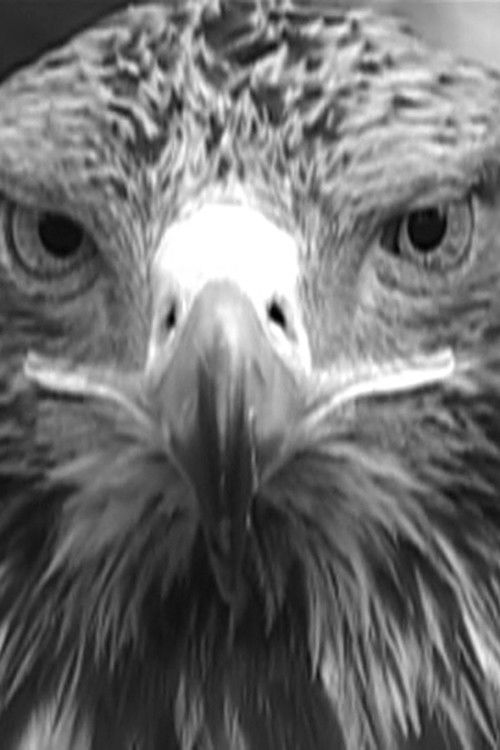 Dodge Ram (2004) poster