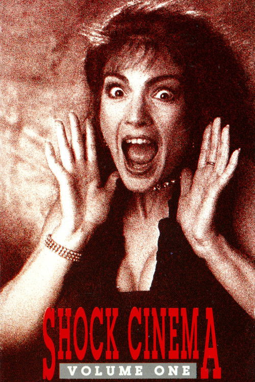 Shock Cinema: Volume One (1991) poster