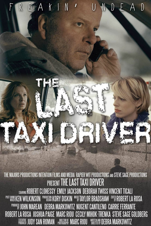 The Last Taxi Driver (2015) poster