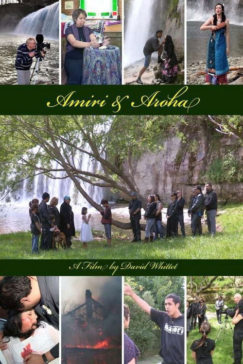 Amiri & Aroha (2011) poster