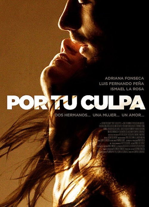 Por Tu Culpa (2012) poster