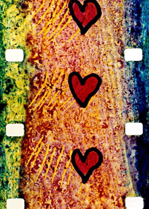 Garbanzo (1992) poster