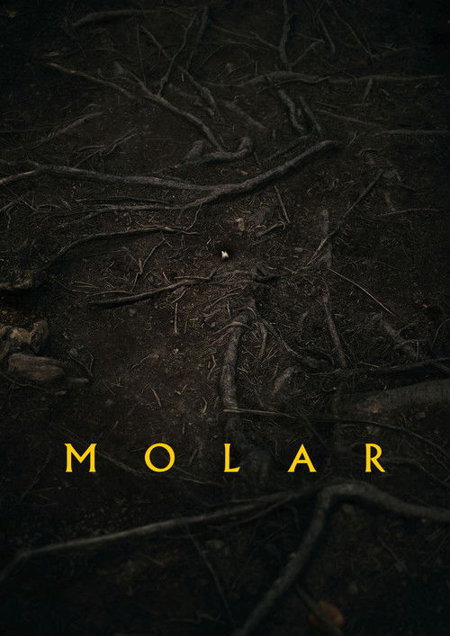 Molar poster