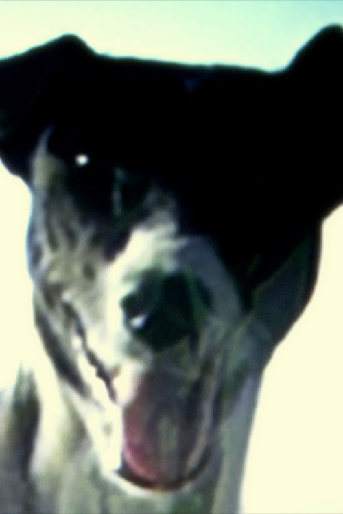 Escape Velocity (2020) poster