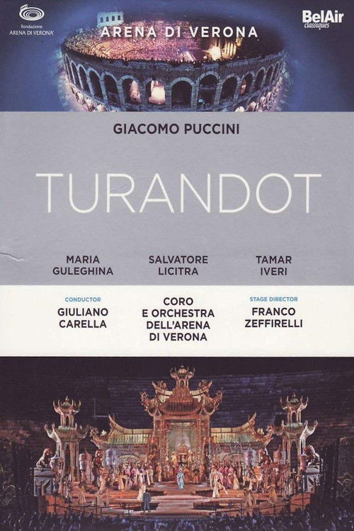 Turandot - Puccini - Live from Verona (2011) poster