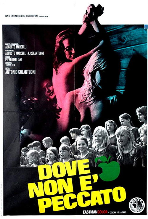 Dove non è peccato (1970) poster