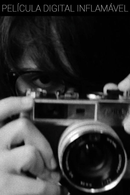 Flammable Digital Film (2024) poster