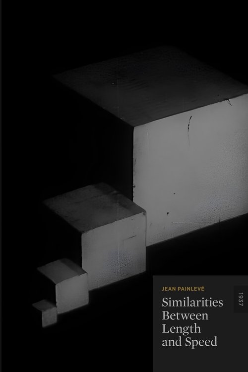 Similitudes des longueurs et des vitesses (1937) poster