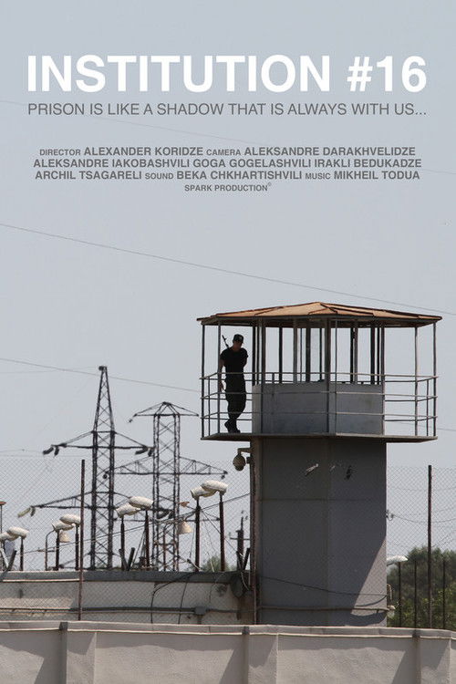 Institution #16 (2017) poster