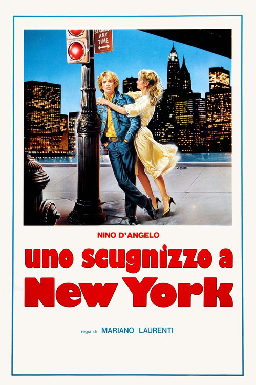 Neapolitan Boy in New York (1984) poster
