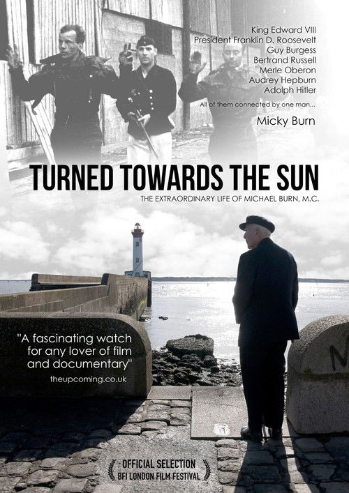 Turned Towards the Sun (2012) poster