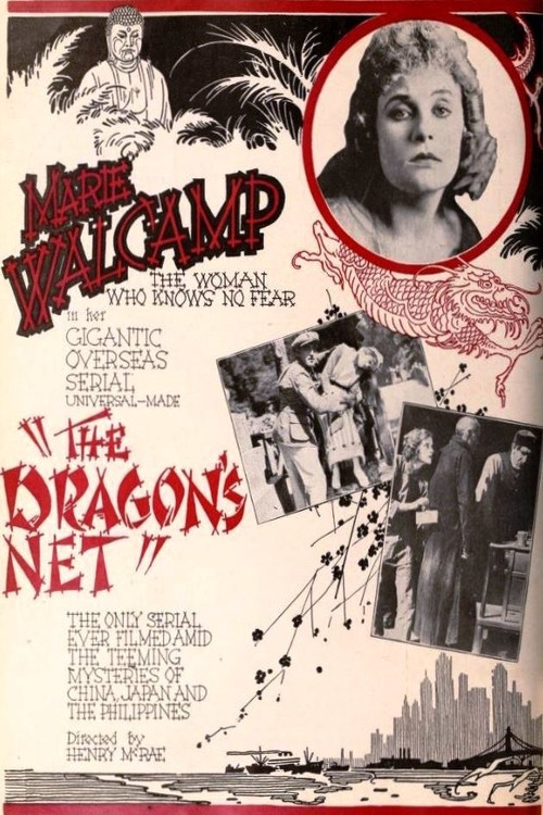 The Dragon's Net (1920) poster