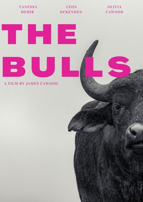 The Bulls (2023) poster