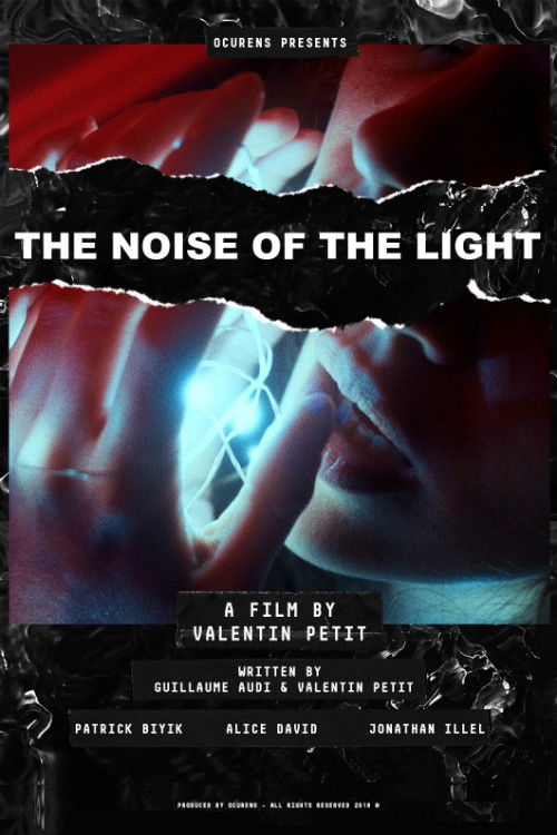 The Noise of the Light (2018) poster