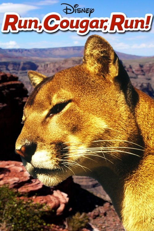 Run, Cougar, Run (1972) poster