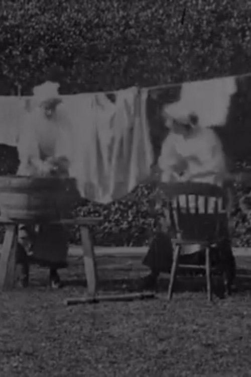 Washing the Sweep (1898) poster