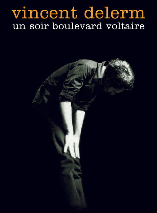 Vincent Delerm - Un soir boulevard Voltaire (2003) poster