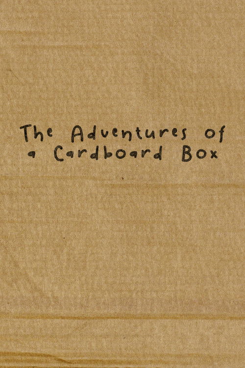 The Adventures of a Cardboard Box (2011) poster