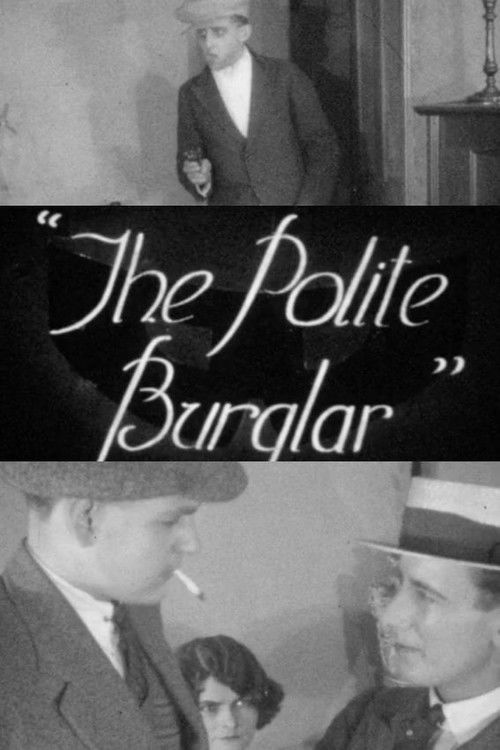 The Polite Burglar (1929) poster