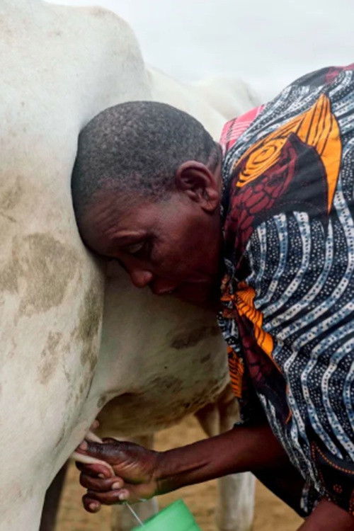 La sombra del Baobab (2025) poster