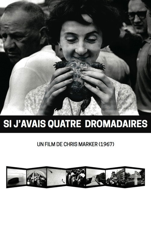 Si j'avais quatre dromadaires (1966) poster