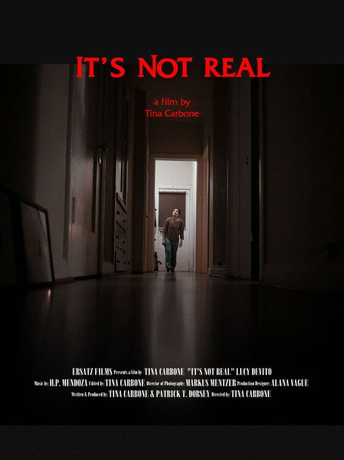 It's Not Real (2023) poster