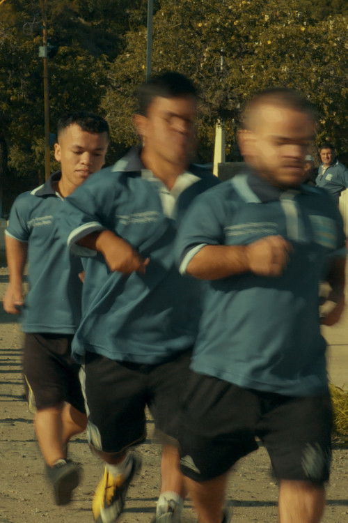 El Mundialito (Small World Cup) (2024) poster