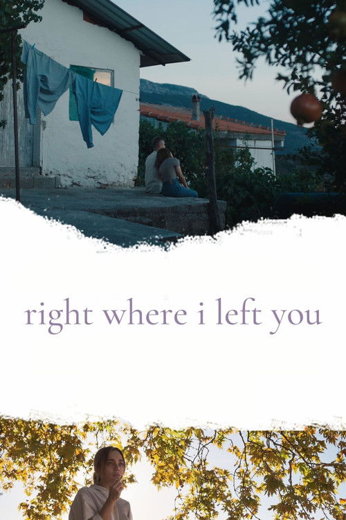 Right Where I Left You (2024) poster