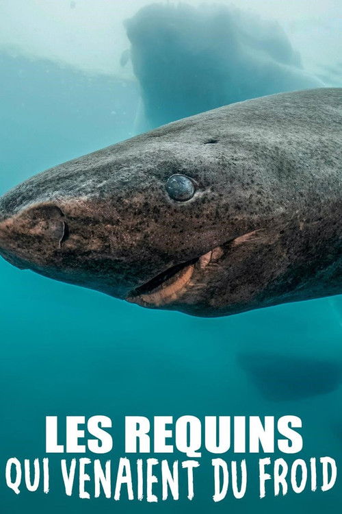 Les requins qui venaient du froid (2020) poster