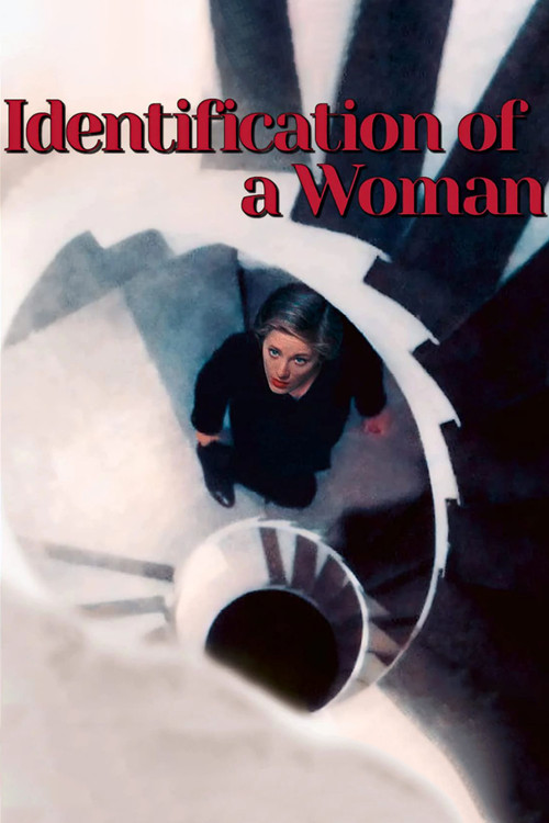 Bir Kadının Tanımlaması (1982) poster