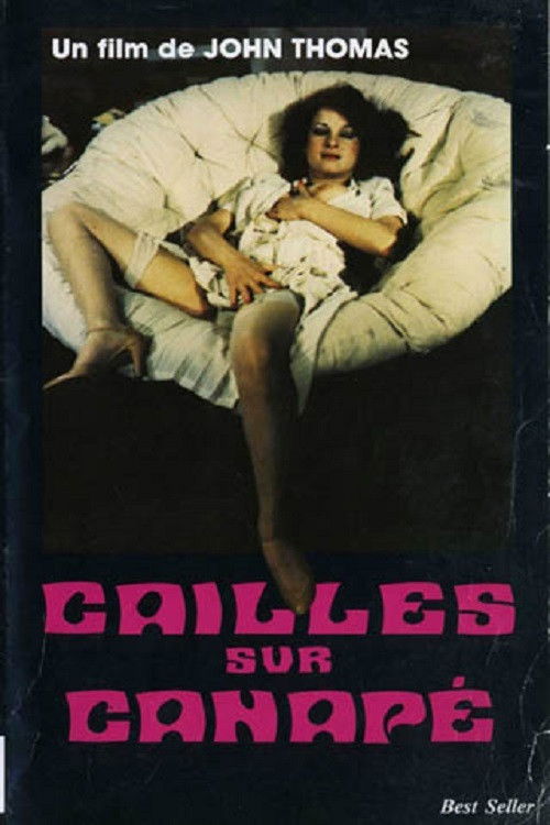 Cailles sur canapé (1977) poster