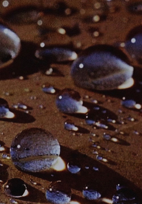 T H I R (1972) poster