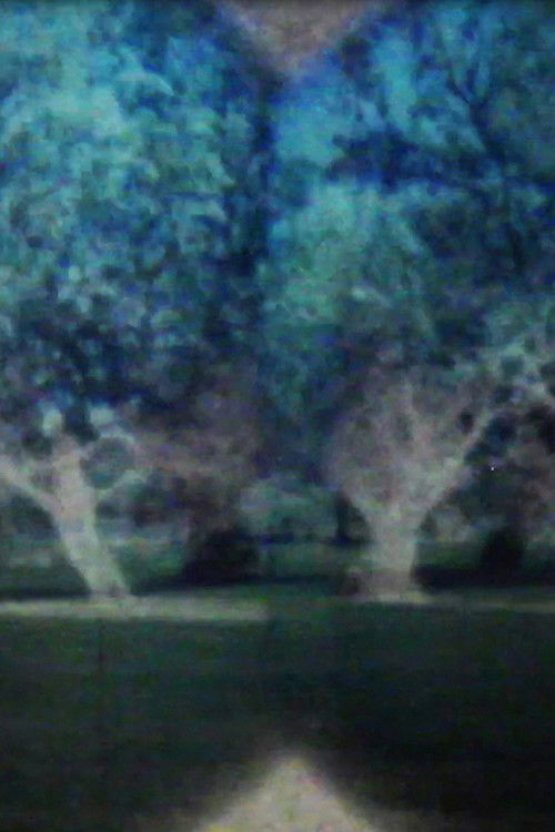 Apparitions (2016) poster