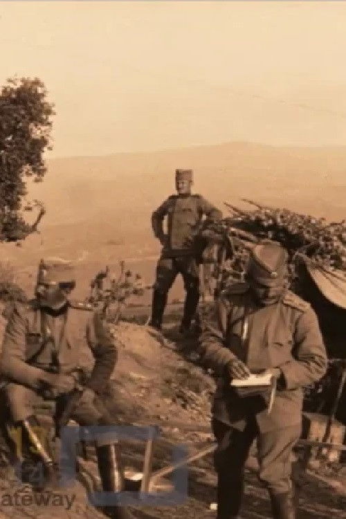 Battle of the Black Stone (1913) poster