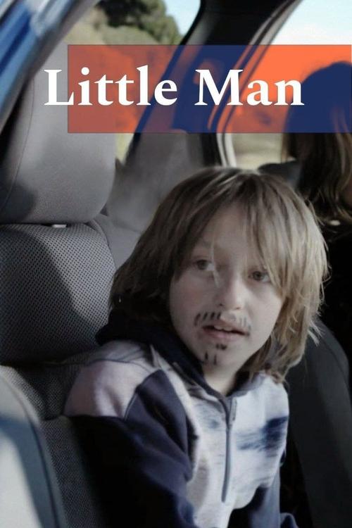 Little Man (2013) poster