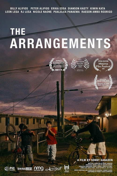 The Arrangements (2025) poster
