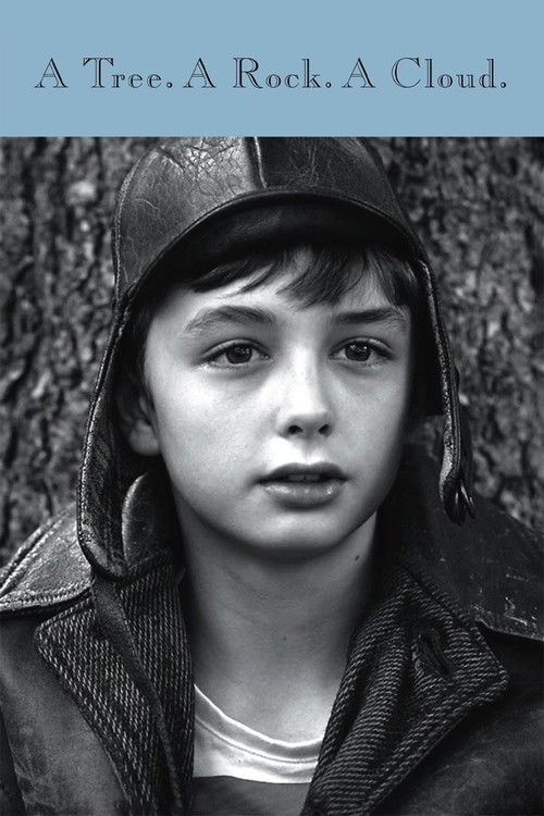 A Tree a Rock a Cloud (2017) poster