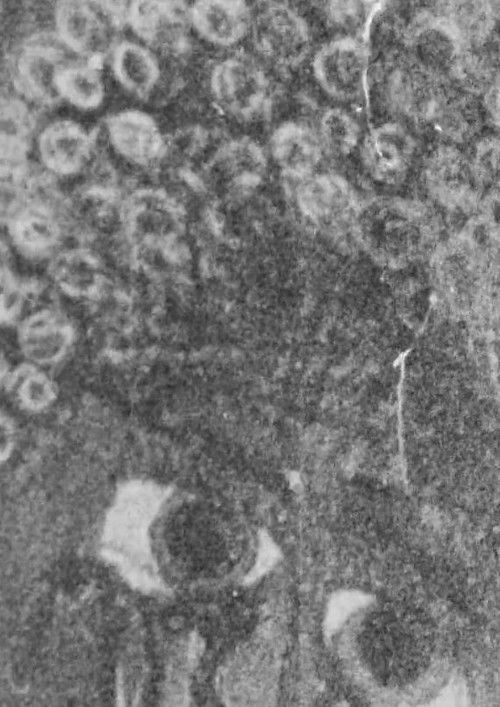 The Charcoal Alley (1998) poster