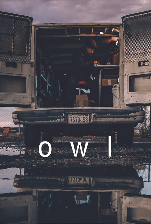 Owl (2024) poster
