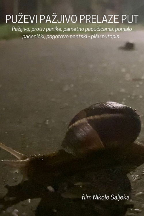 Snails Steadily Stroll the Street (2024) poster