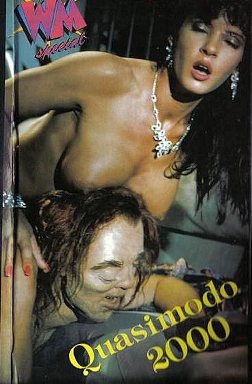 Hunchback of the Notre Dame (1991) poster