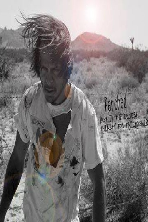 Lost in the desert, thirsty for friendship (2014) poster