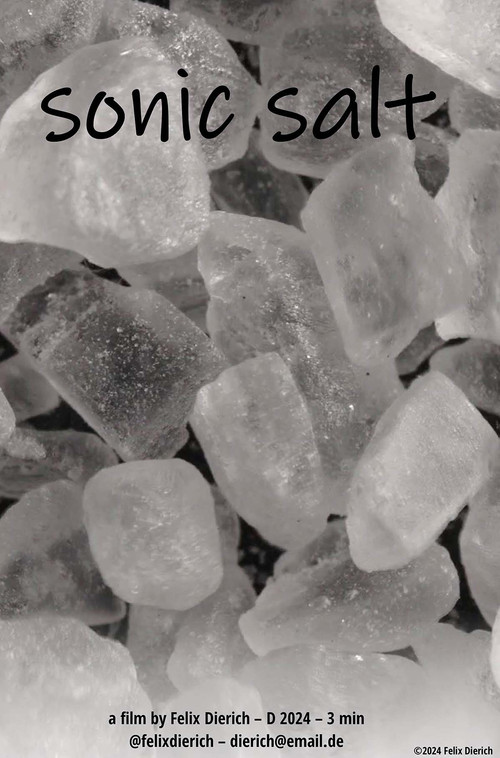 sonic salt (2025) poster