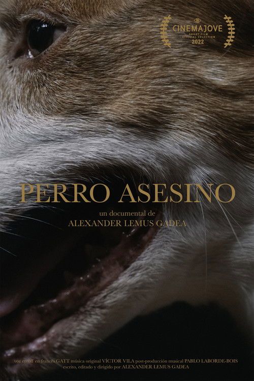 Perro Asesino poster
